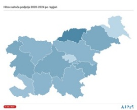 Hitro rastoča podjetja 2020-2024